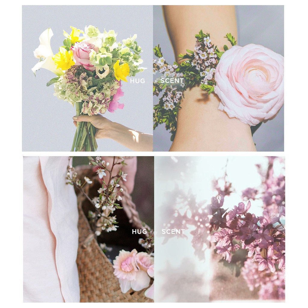 Banilla Hug Product Line