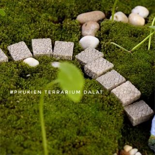 ĐÁ VUÔNG - Phụ kiện Terrarium Đà Lạt