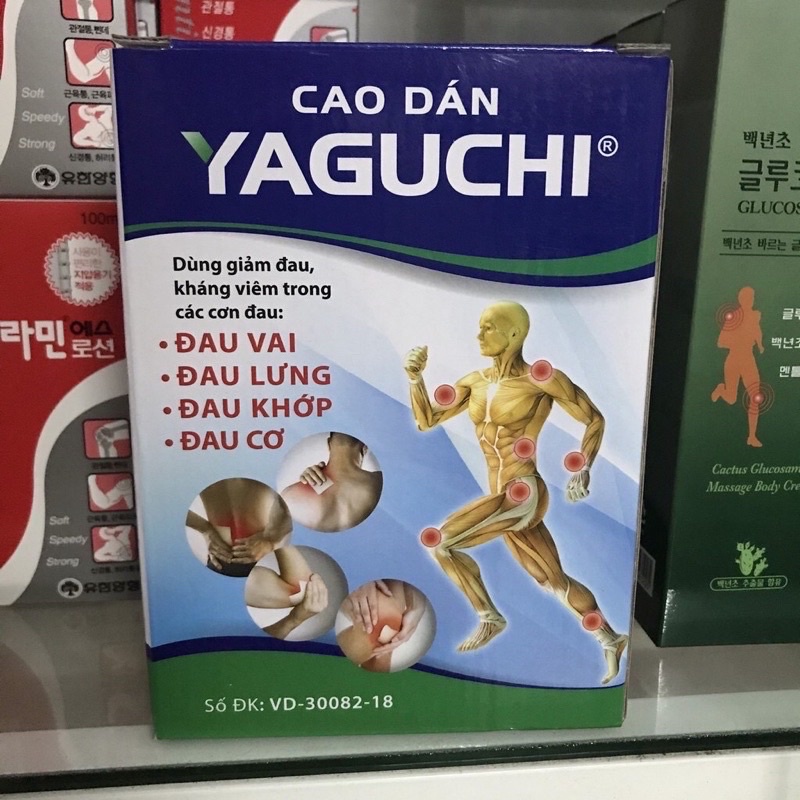 cao dán giam đau yaguchi