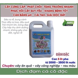 Dịch đạm cá cô đặc chính hãng SBC