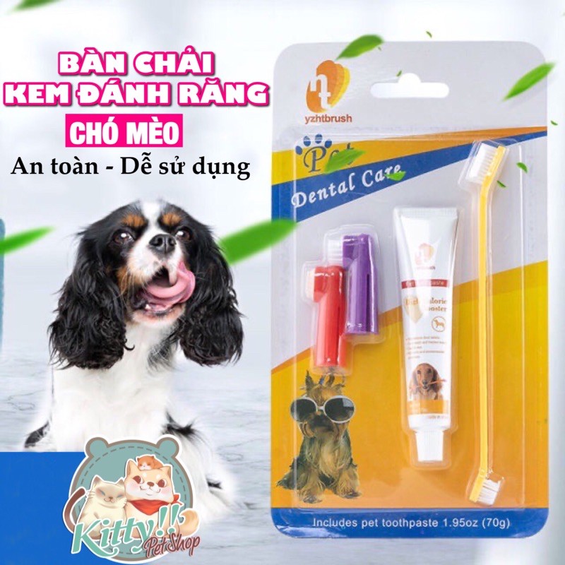 Bộ bàn chải và kem đánh răng dành cho chó mèo Pet Toothpaste, chăm sóc răng miệng thú cưng - Kitty Pet Shop B
