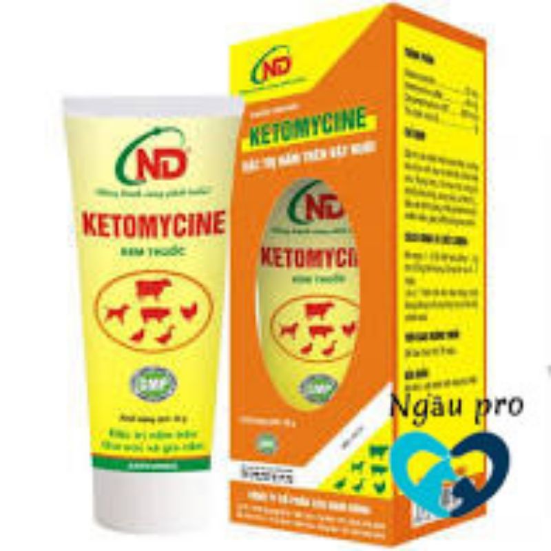 Thuốc bôi trị nấm, viêm da ghẻ chó mèo KETOMYCINE tuýp 25gr