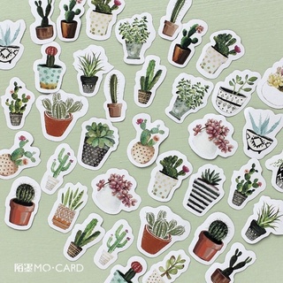 Set 45 Sticker/Nhãn Dán Các Chậu Cây Dễ Thương