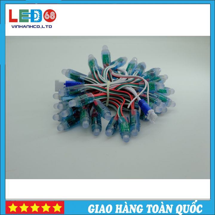 Đèn Led Đúc F8 Full Color IC 1903
