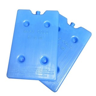 2 thanh Đá khô đá gel giữ lạnh 500g maxxcol