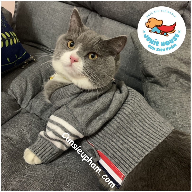 Áo len cardigan T.B xám sang trọng đồ Tết cho chó mèo