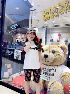 Set Gấu Bear