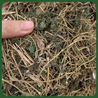 Dây khổ qua rừng ( mướp đắng rừng )