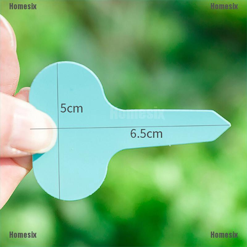 Set 100 Thẻ Nhựa Chữ T Đánh Dấu Cây Trồng 5x7cm