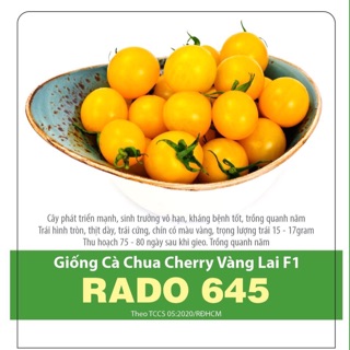 Hạt giống Cà Chua Cherry vàng 645
