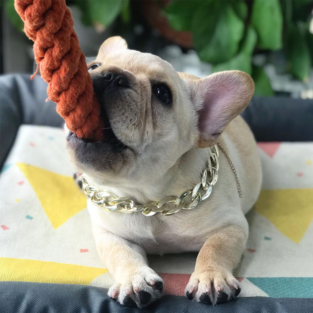 🐶SD Chất liệu nhựa Chuỗi con chó nhỏ Teddy Bulldog Pháp Vòng cổ vàng Phụ kiện vật nuôi cho chó Vòng cổ