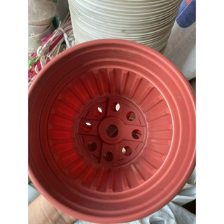 Chậu nhựa mỏng vành cứng trồng cây-chậu nhựa ttk 150, ttk 180, ttk 200, ttk 230, ttk 260, ttk 280