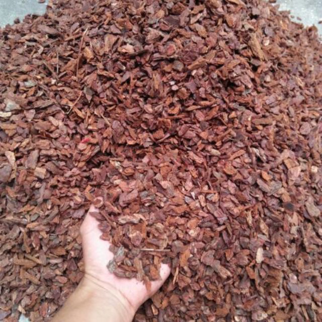 Vỏ gỗ thông vụn trồng lan đã qua xử lý 1kg
