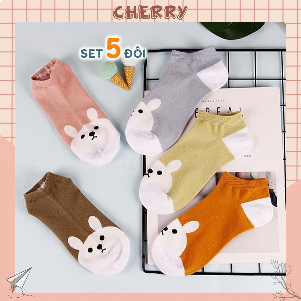 Tất cổ ngắn họa tiết hoạt hình đáng yêu, set 5 đôi vớ chất liệu vải cotton co giãn 4 chiều - Cherry Shop