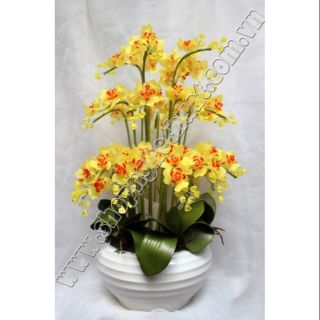 Combo nguyên liệu bình lan 3 tầng pha lê đá