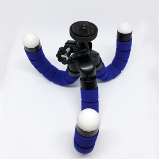 Chân nhện mini