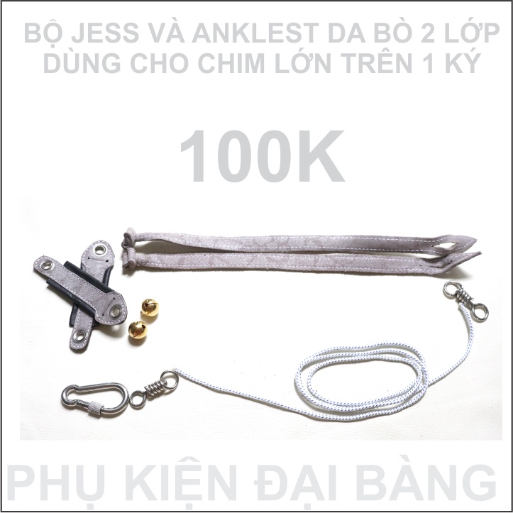 Bộ dây chân đại bàng ưng trống | BigBuy360 - bigbuy360.vn