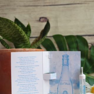 Nước hoa sample nữ chính hãng Davidoff