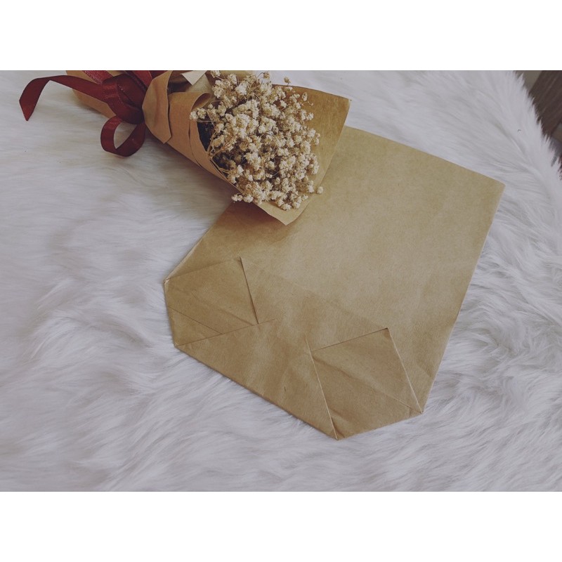 100 TG nâu size 30 x 40 cm đựng vừa quần áo, gói rau củ