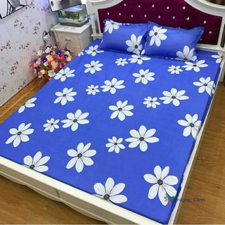 Ga gối cotton poly hoa bèo m6 / m8