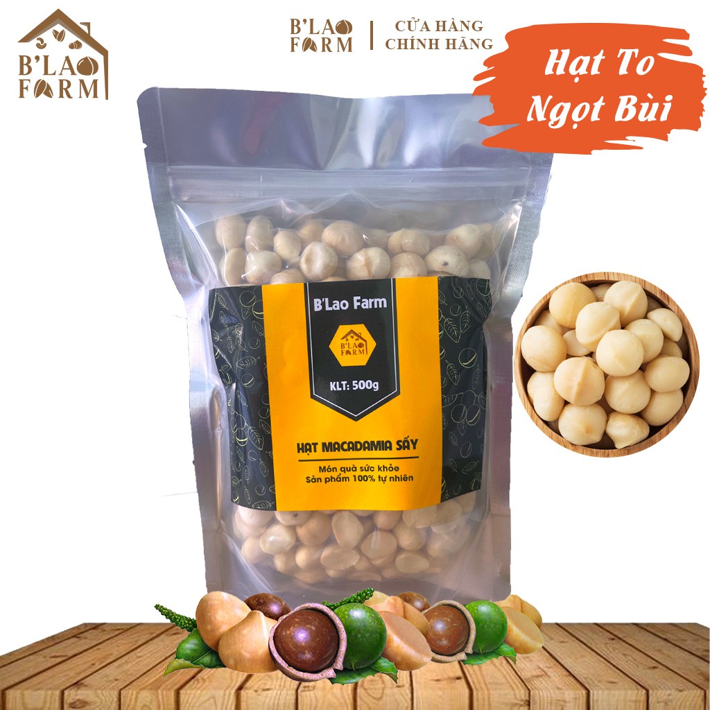 [Macca Nhân túi 500g] Nhân Hạt Macca Sấy Đã tách vỏ Loại 1 Maccadamia Blao [500g]