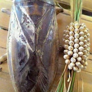 Tinh dầu cà cuống nhập Thái Lan