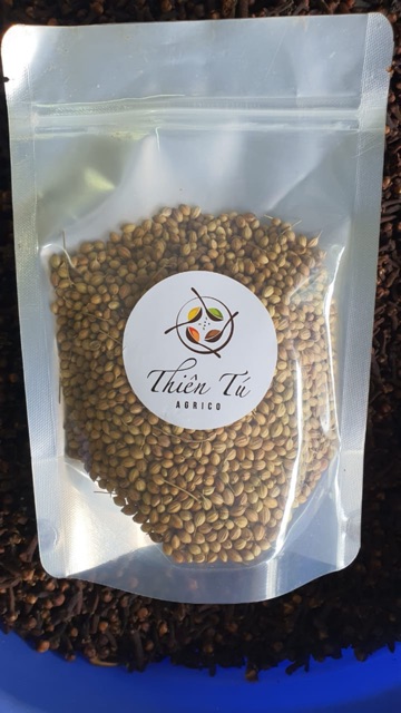 HẠT NGÒ LỚN / HẠT RAU MÙI 1KG | GIA VỊ NGUYÊN CHẤT | NÔNG SẢN THIÊN TÚ