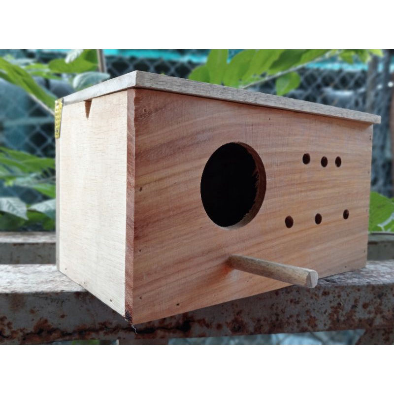 Tổ chim gỗ ổ đẻ chim yến phụng, manh manh, lovebird, chim sâu, các dòng chim nhỏ kích thước 25cmx13cmx15cm