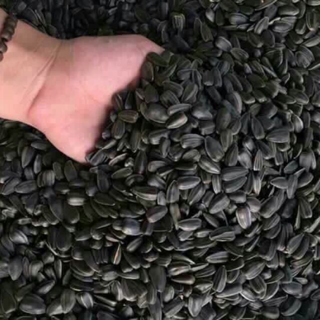 Combo 3kg mít đà lạt