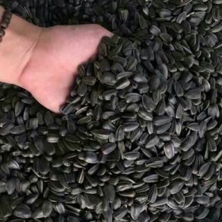 Combo 3kg mít đà lạt