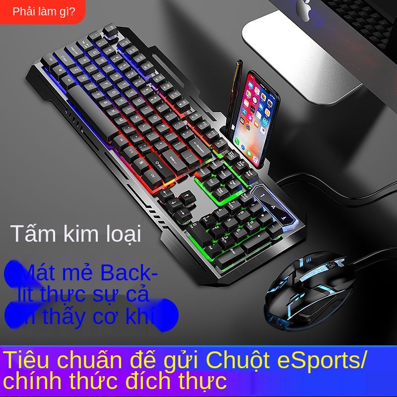 Bộ bàn phím và chuột Nobexing SK500 Gaming điều khiển phát sáng Cảm giác chơi game Máy tính để xách tay USB | BigBuy360 - bigbuy360.vn