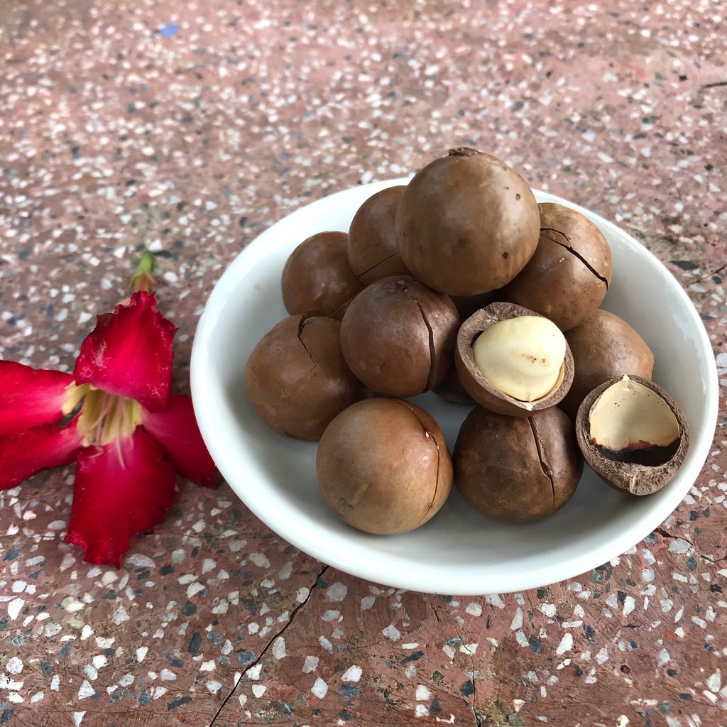 Hạt Macca Đăk Lăk