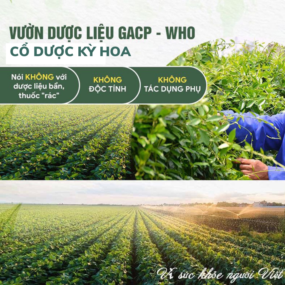 Son Dưỡng Cam Oganic THÔNG CÁT Son dưỡng môi giúp mềm môi,  cung cấp độ ẩm, tái tạo da môi làm môi luôn mềm mọng