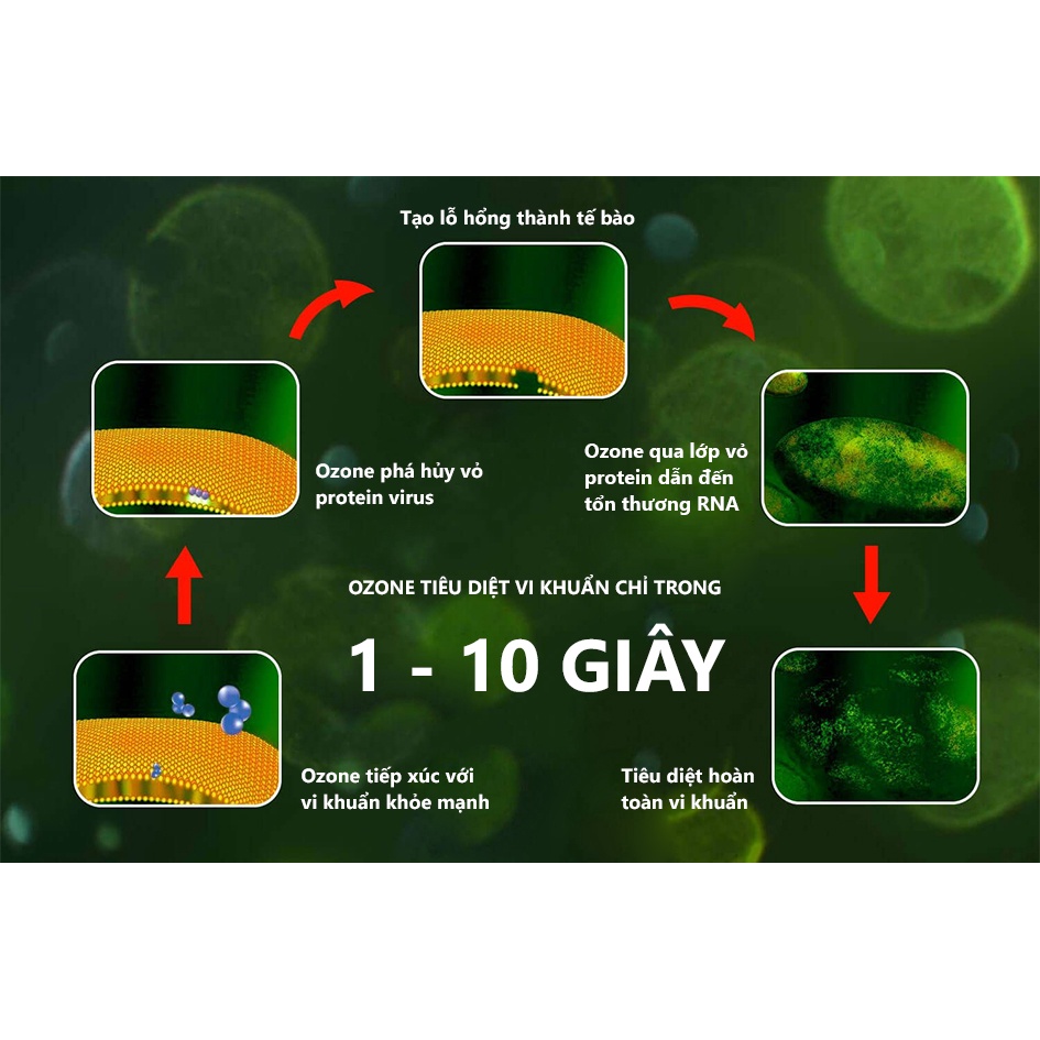 Máy khử mùi khử trùng diệt khuẩn Ozone đa năng Dr.Ozone Bacteria