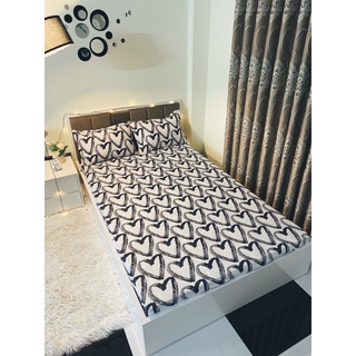 Sét ga gối 4 món poly cotton