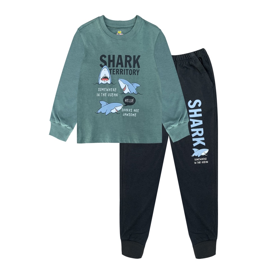 Bộ đồ dài tay Trai ARDILLA In họa tiết hoạt hình ngô nghĩnh,set quần áo trẻ em nam Chất Vải Mềm Mại Cho Bé Từ 2-9T CB001