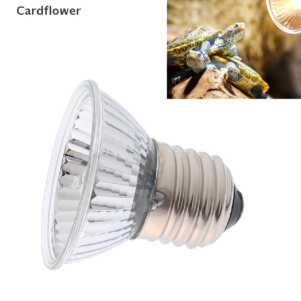 Bóng ĐèN ChiếU SáNg Cho Bò SáT 25 / 50 / 75W UVA + UVB