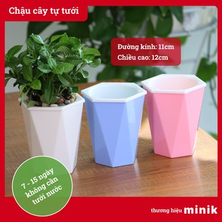 Chậu cây mini, thích hợp trồng sen đá, hình kim cương MINIK, chậu cây thông minh tự tưới, kích thước 11cm x 12cm