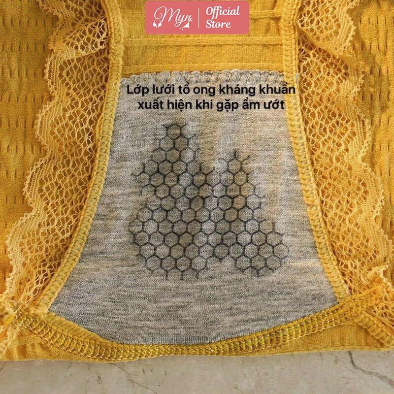 QUẦN LÓT COTTON BÈO NHÚN VIỀN REN Q 102 MYN_UNDERWEAR