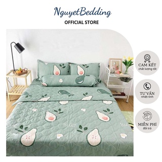 Combo 5 món chăn hè cotton poly - kích thước m2/m6/m8/2m2