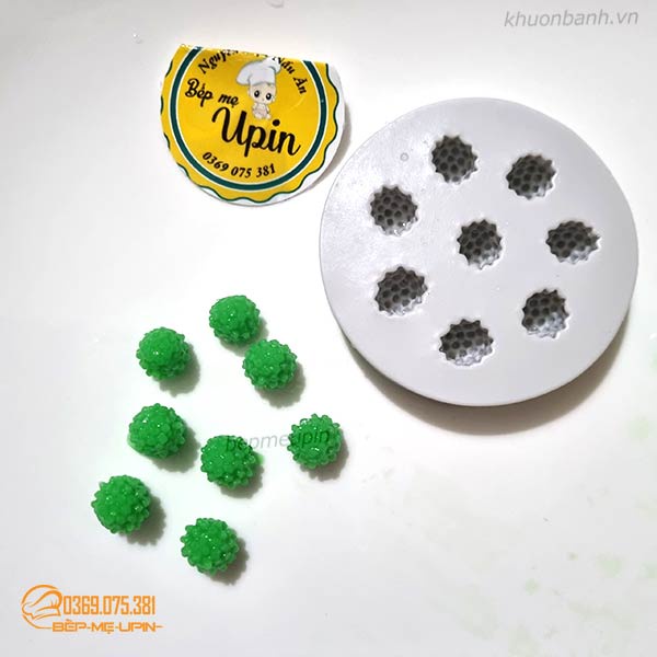 Khuôn silicon mẫu mâm xôi việt quất to nhỏ