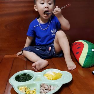 Khay ăn dặm lúa mạch