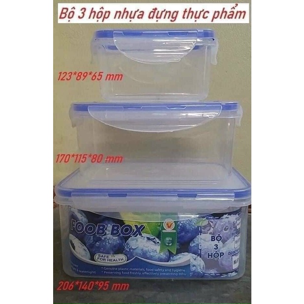 Bộ 3 hộp nhựa đựng thực phẩm, bảo quản đồ ăn tiện lợi Việt Nhật - Hộp nhựa có nắp đựng thức ăn tiện lợi