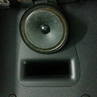 Loa Bose 301 Seri IV