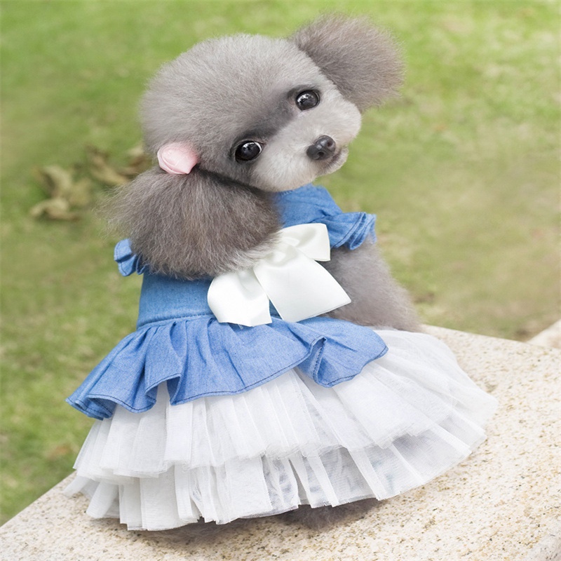 Váy Denim Xuân Hè Thu Có Nút Thắt Nơ Thuận Tiện Thời Trang Cho Thú Cưng