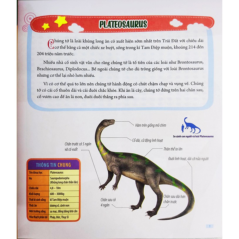Sách cho bé - Bách Khoa Động Vật Dành Cho Trẻ Nhỏ - Khủng Long
