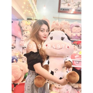 gấu bông bò sữa