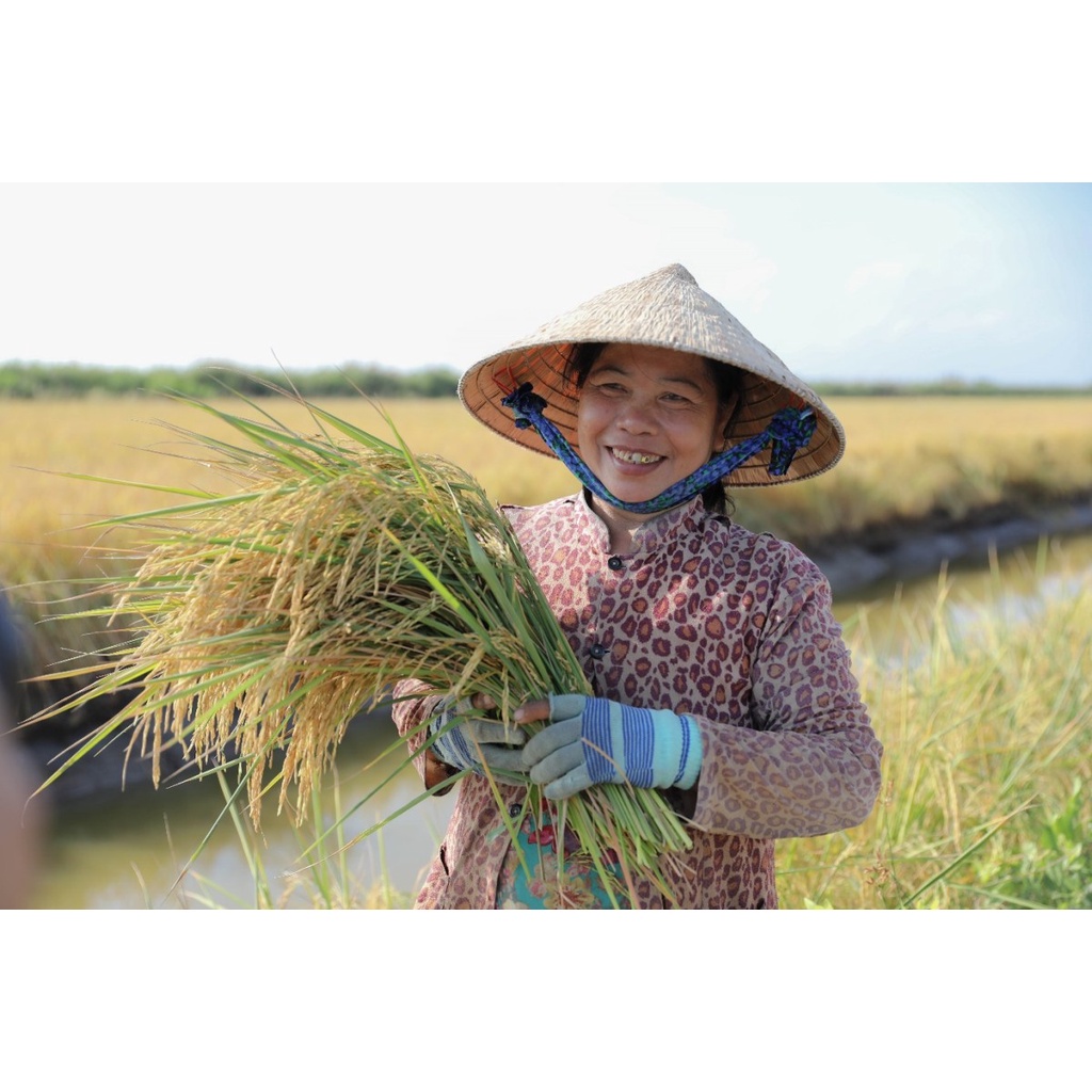 Gạo Trắng ST24 Hữu Cơ 2kg AAN - XanhSam Organic