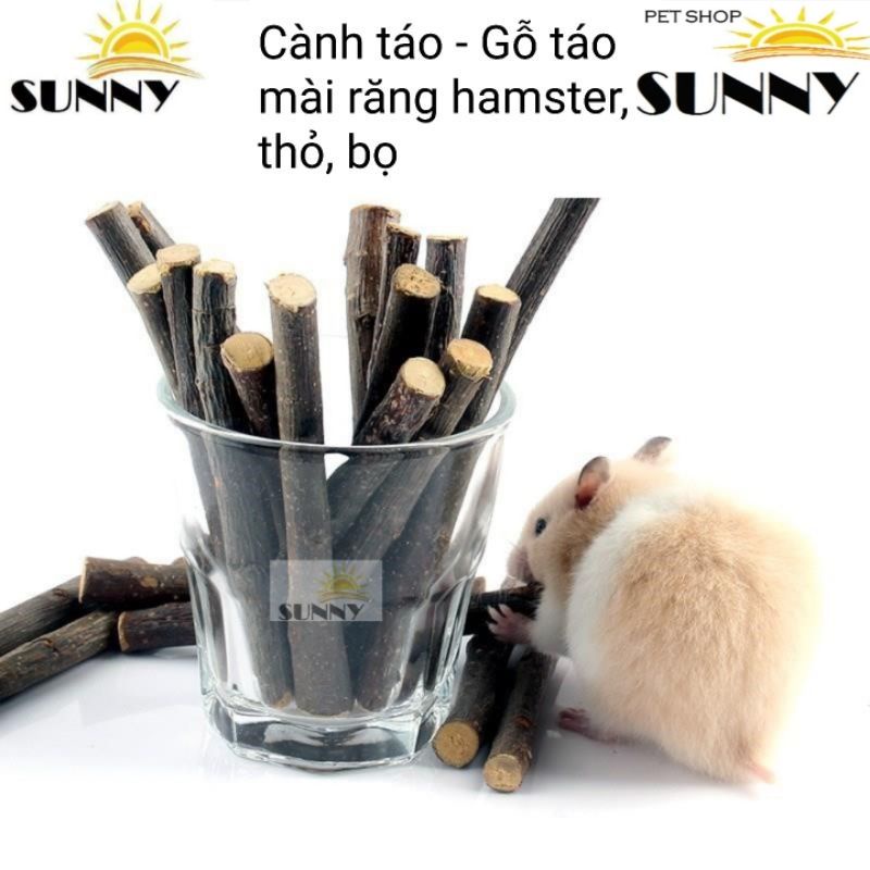 Cành táo mài răng cho hamster, thỏ, bọ