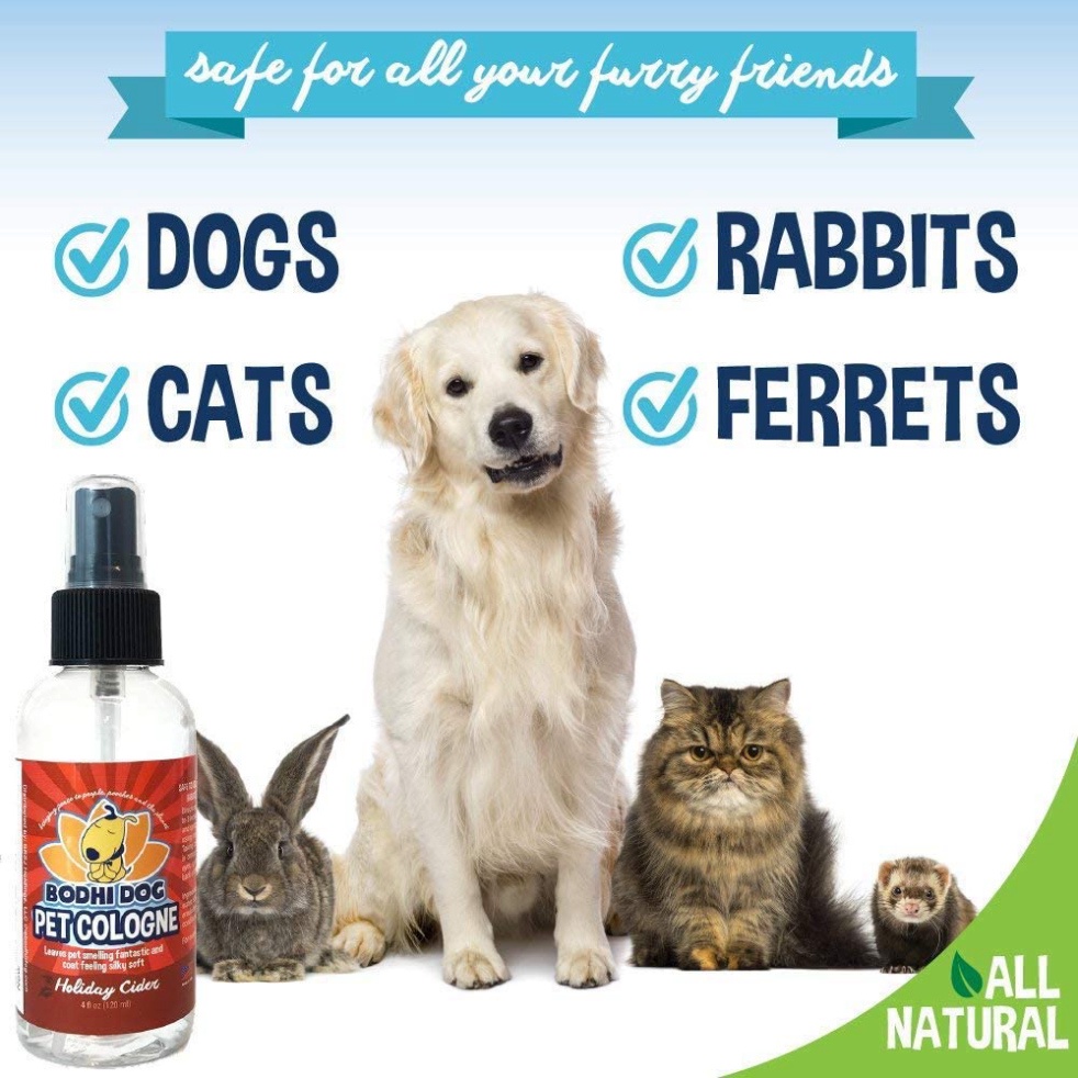 Xịt khử mùi cho chó mèo-MUA 1 TẶNG 1-240ml (MỸ) Xịt thơm,khử mùi hôi và mượt lông thú cưng - BODHI DOG